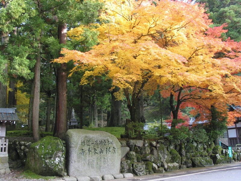 永平寺紅葉